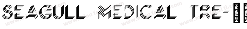 Seagull medical tre字体转换